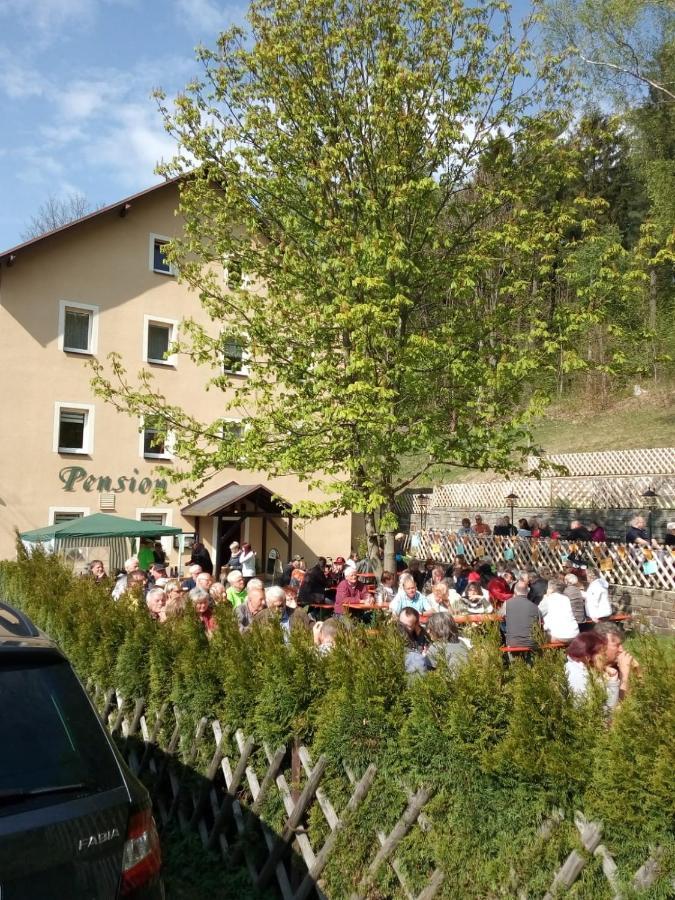 Pension Sommerfrische Ehrenfriedersdorf Экстерьер фото